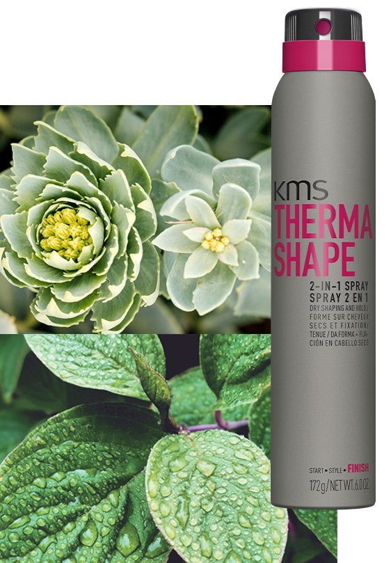 Aerosol THERMASHAPE 2 en 1